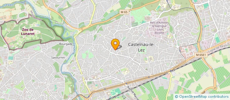 localisation de l'entreprise 480 684 406   CASTELNAU-LE-LEZ