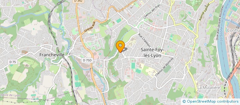 localisation de l'entreprise 483 149 134   CHAPONOST