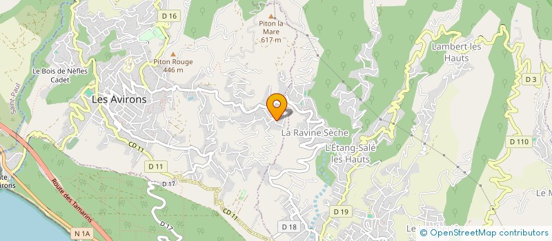 localisation de l'entreprise 484 129 341   LES AVIRONS