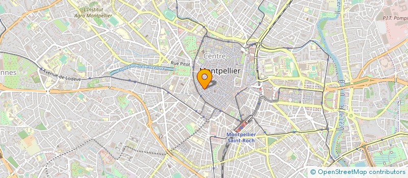 localisation de l'entreprise 484 175 823 à MONTPELLIER
