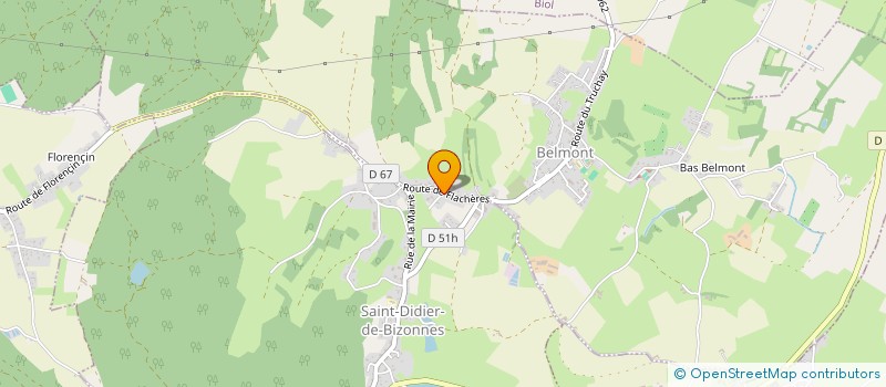 localisation de l'entreprise 484 195 698   SAINT-DIDIER-DE-BIZONNES