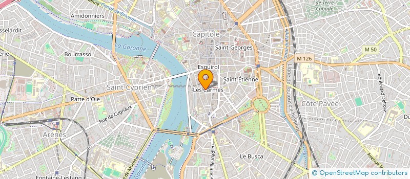 localisation de l'entreprise 484 206 180 à TOULOUSE
