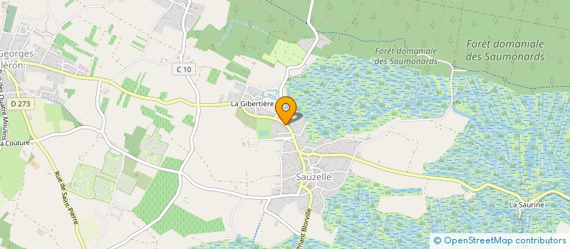 localisation de l'entreprise 484 419 049   SAINT-GEORGES-D'OLERON