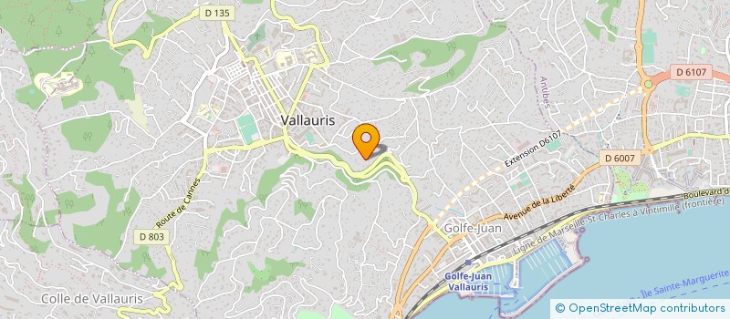 localisation de l'entreprise 484 680 426   VALLAURIS