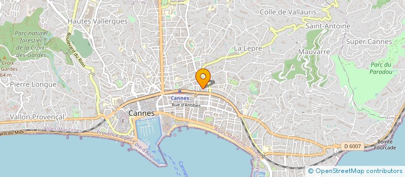 localisation de l'entreprise 484 752 258 à CANNES