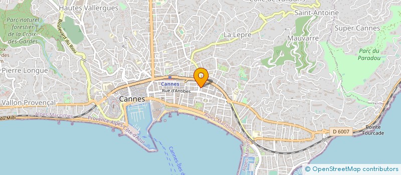 localisation de l'entreprise 485 061 378 à CANNES