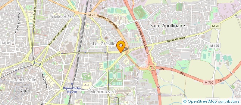 localisation de l'entreprise 485 150 924   DIJON