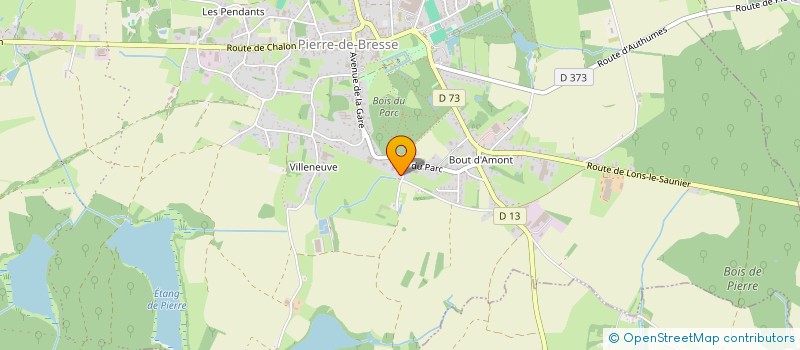 localisation de l'entreprise 489 493 189   PIERRE-DE-BRESSE