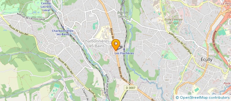 localisation de l'entreprise 489 619 429 à LYON