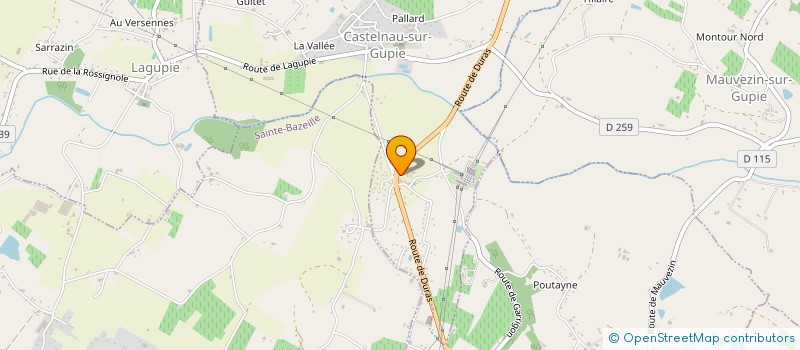 localisation de l'entreprise 489 693 101   CASTELNAU-SUR-GUPIE