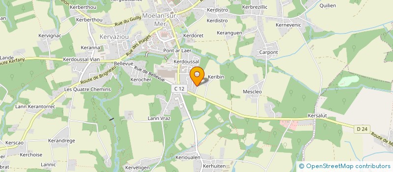 localisation de l'entreprise 490 607 421   MOELAN-SUR-MER