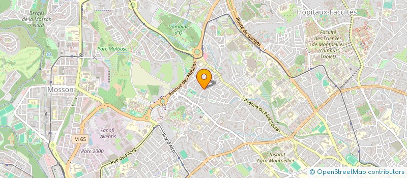 localisation de l'entreprise 490 767 589   MONTPELLIER