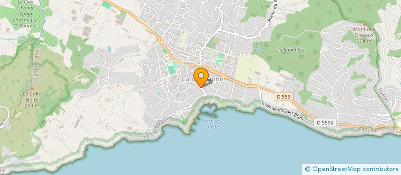 localisation de l'entreprise 490 963 915   CARQUEIRANNE