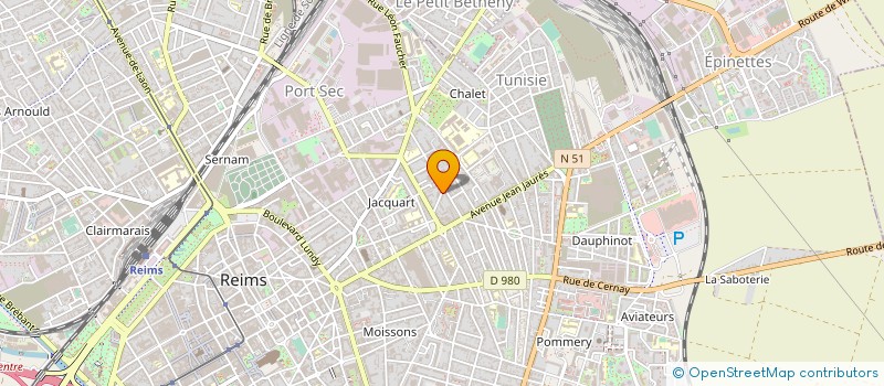 localisation de l'entreprise 491 233 813   REIMS