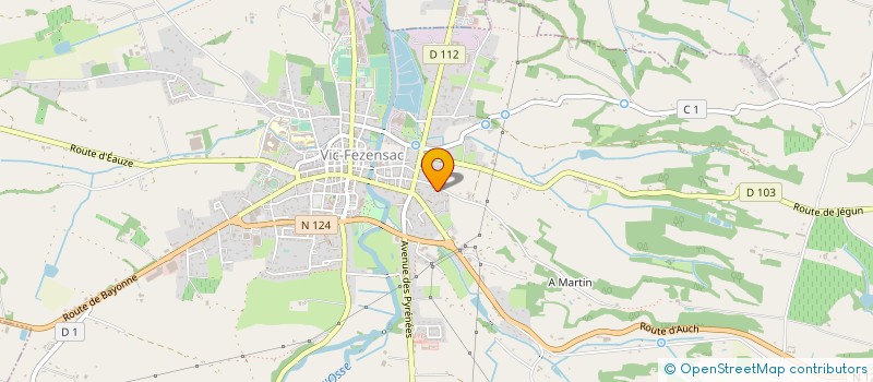 localisation de l'entreprise 491 971 677   VIC-FEZENSAC