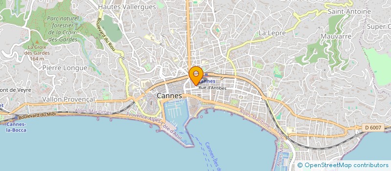 localisation de l'entreprise 492 000 294   CANNES