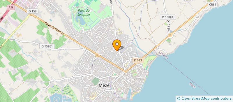 localisation de l'entreprise 492 196 050   LAURENS