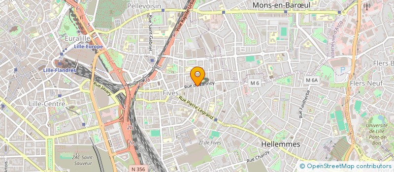 localisation de l'entreprise 493 169 536   LILLE