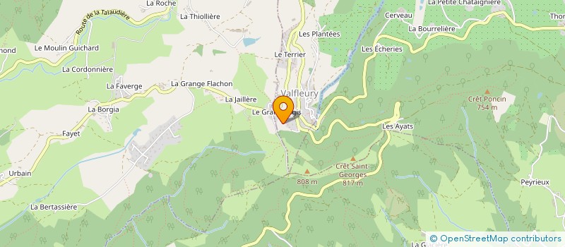 localisation de l'entreprise 493 419 519 à VALFLEURY