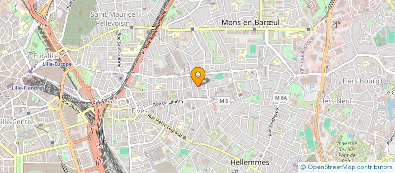 localisation de l'entreprise 495 013 070 à LILLE