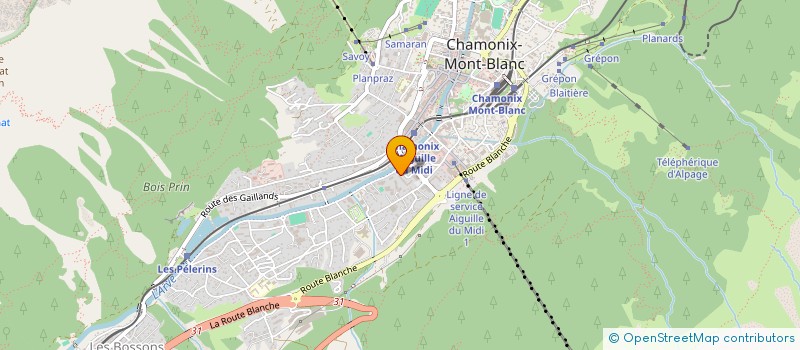 localisation de l'entreprise 495 216 442 à LES HOUCHES