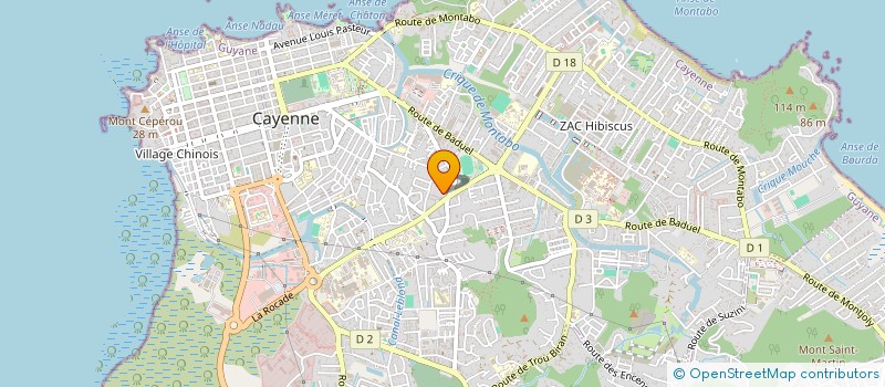 localisation de l'entreprise 495 344 491   CAYENNE