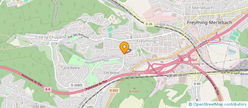 localisation de l'entreprise 495 366 130   SAINT-AVOLD