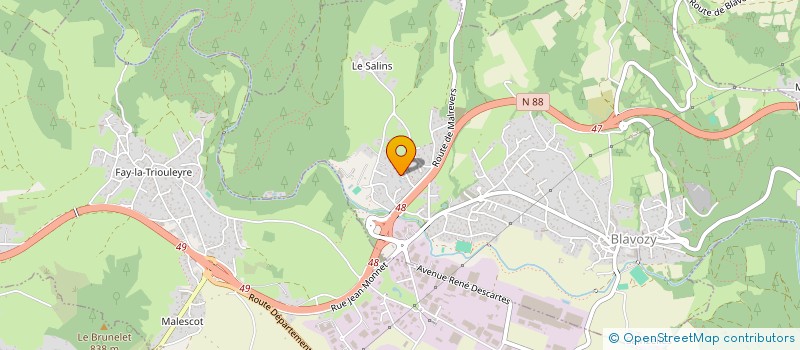 localisation de l'entreprise 498 093 996   RIOM