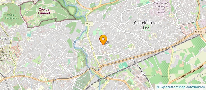 localisation de l'entreprise 499 385 821   CASTELNAU-LE-LEZ