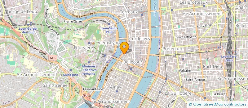 localisation de l'entreprise 499 739 951  à LYON