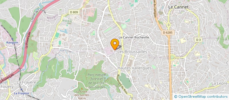 localisation de l'entreprise 499 853 919  à LE CANNET