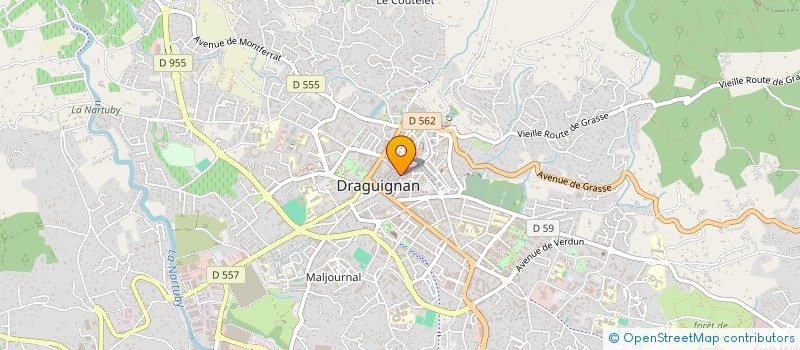 localisation de l'entreprise 499 907 285   DRAGUIGNAN