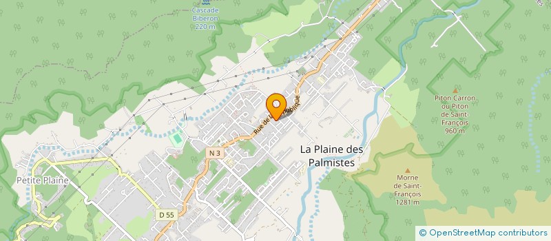 localisation de l'entreprise 4EM  LA PLAINE-DES-PALMISTES