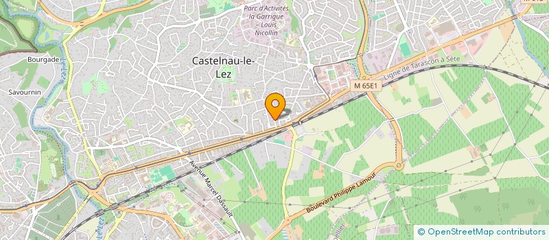 localisation de l'entreprise 4G HOLDING à CASTELNAU-LE-LEZ