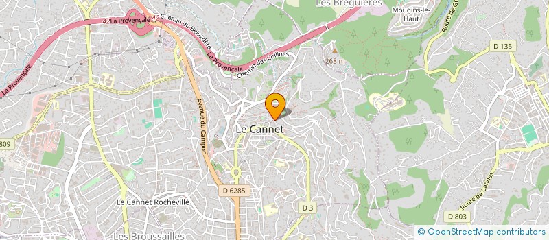 localisation de l'entreprise 500 338 264  à LE CANNET