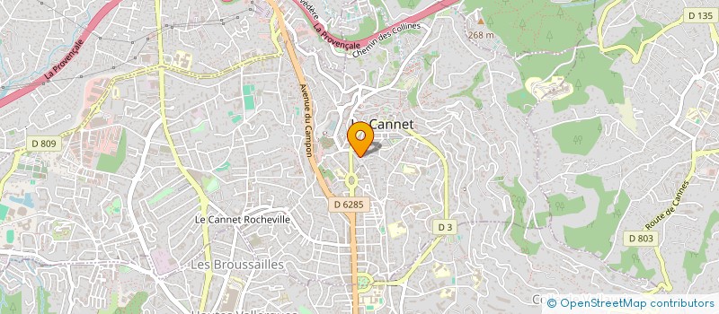 localisation de l'entreprise 500 889 860  à LE CANNET
