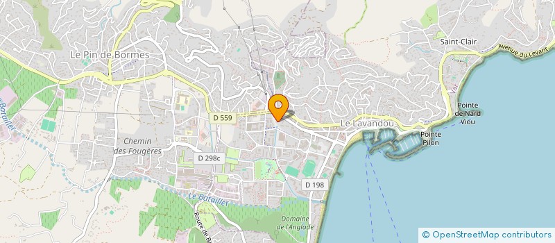 localisation de l'entreprise 502 359 706   BORMES-LES-MIMOSAS