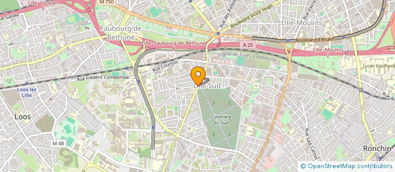 localisation de l'entreprise 505 389 783 à LILLE