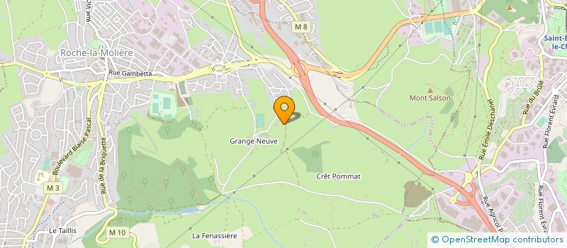 localisation de l'entreprise 509 388 211   ROCHE-LA-MOLIERE