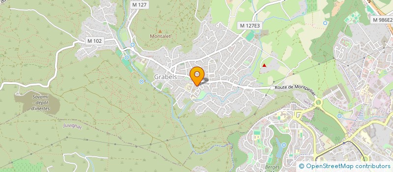localisation de l'entreprise 509 981 973  à PALAVAS-LES-FLOTS