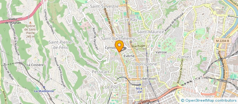 localisation de l'entreprise 51 CESSOLE  NICE