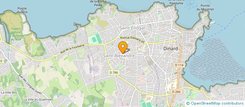 localisation de l'entreprise 510 782 386   DINARD