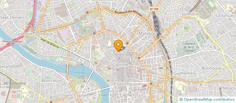 localisation de l'entreprise 511 384 331 à TOULOUSE