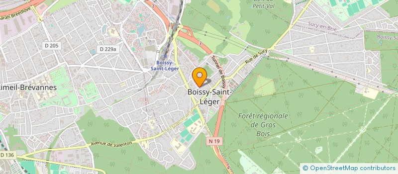 localisation de l'entreprise 513 139 238 à BOISSY-SAINT-LEGER