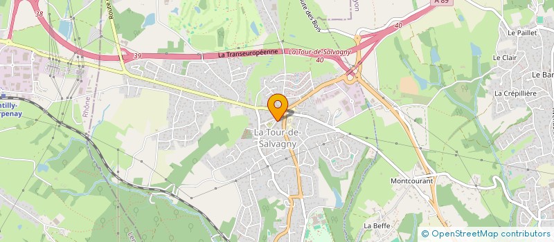 localisation de l'entreprise 513 796 599   LA TOUR-DE-SALVAGNY