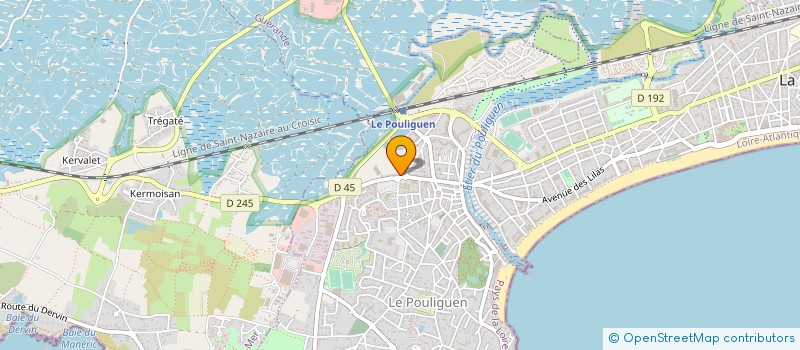 localisation de l'entreprise 514 165 406   SAINT-NAZAIRE