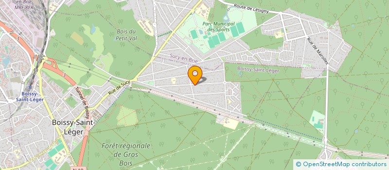 localisation de l'entreprise 514 771 690  à BOISSY-SAINT-LEGER