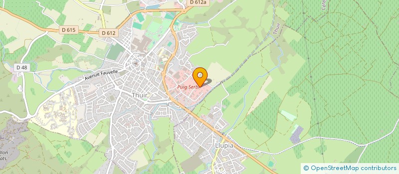 localisation de l'entreprise 517 514 055   THUIR