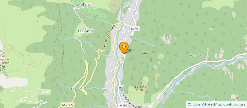 localisation de l'entreprise 517 929 022   SAINT-MARTIN-VESUBIE