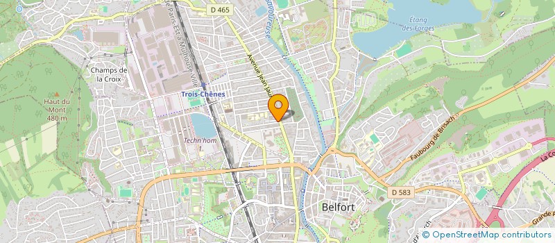 localisation de l'entreprise 518 594 460 à BELFORT